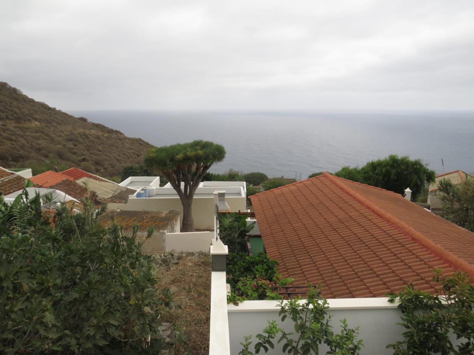 La Cabala Del Draguillo Vila Santa Cruz de Tenerife Exterior foto